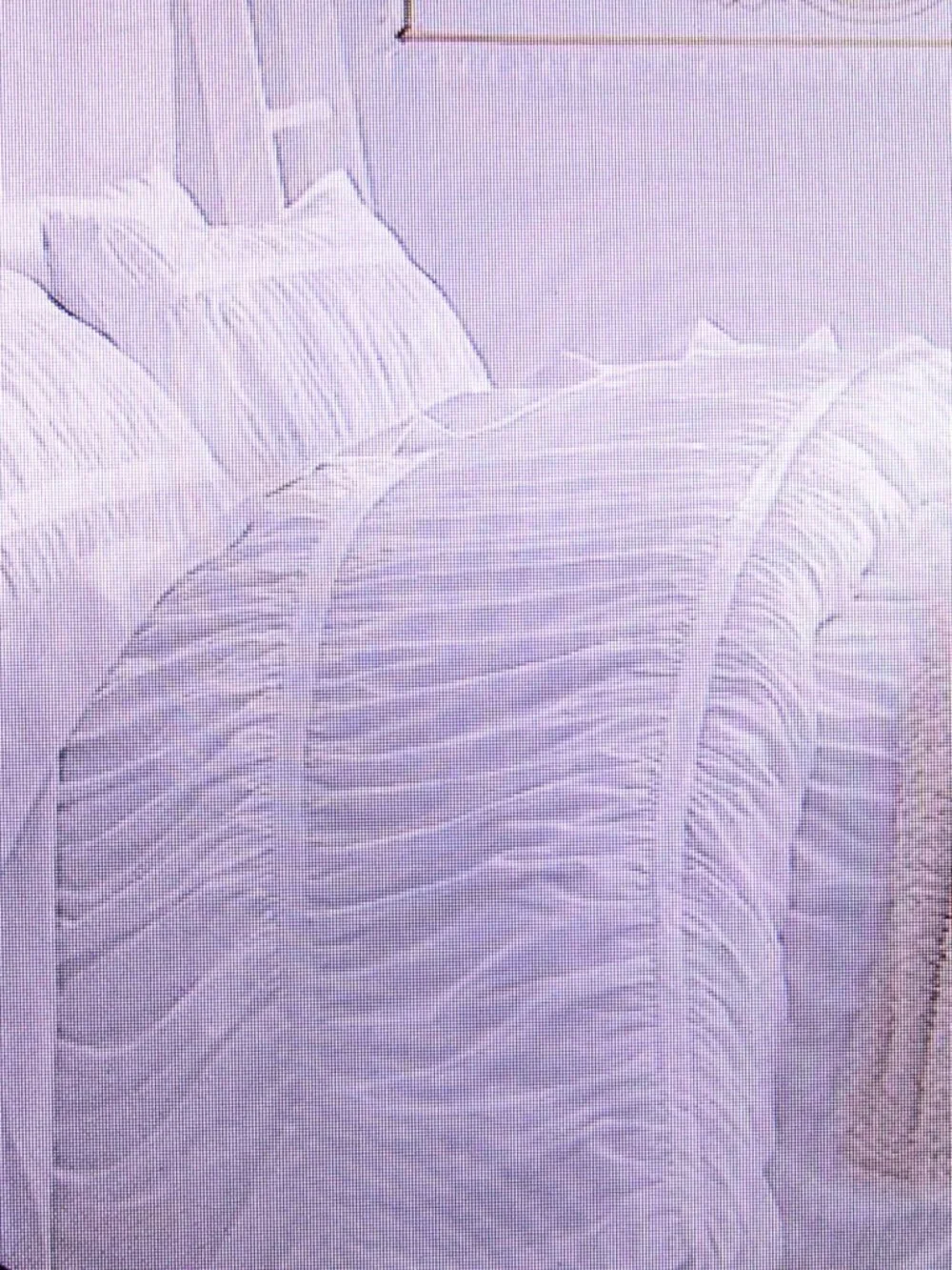 Pottery Barn Teen purchased this